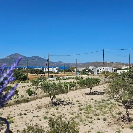 Feriehus Rinio House In Adamas *