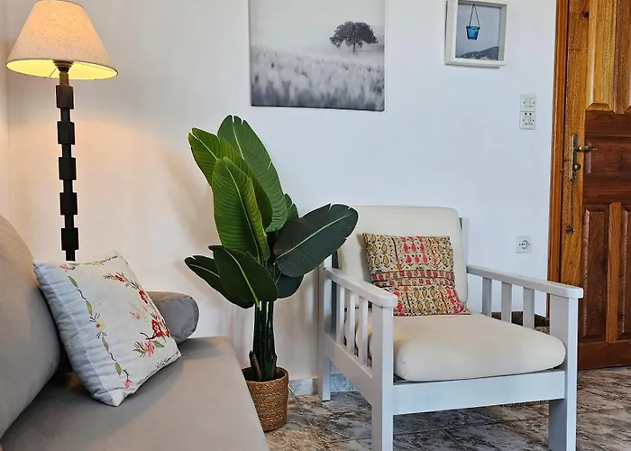 펜션 Rinio House In Adamas *