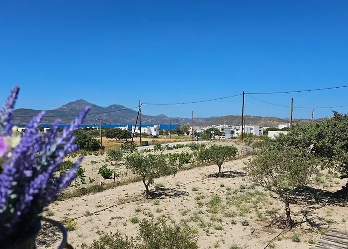 펜션 Rinio House In Adamas *