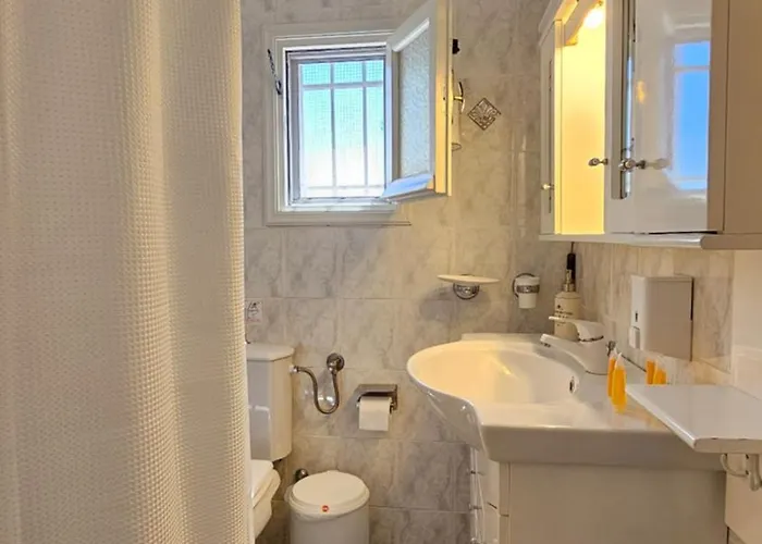 펜션 Rinio House In Adamas *